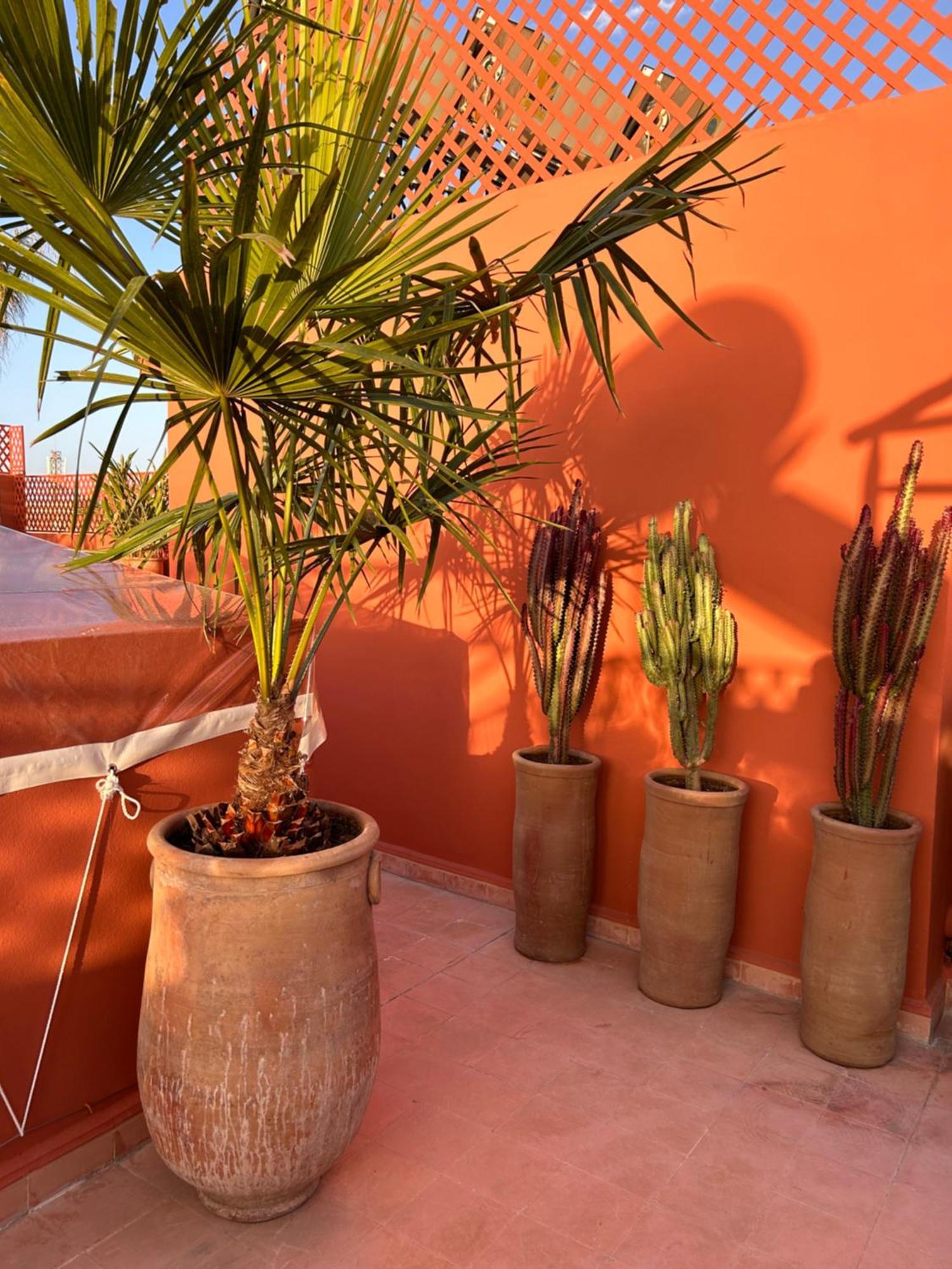 Hotel Riad Bamaga Marrakesh Exterior foto